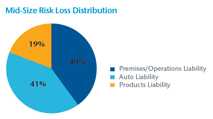 Mid-Size Risk Loss Distribution